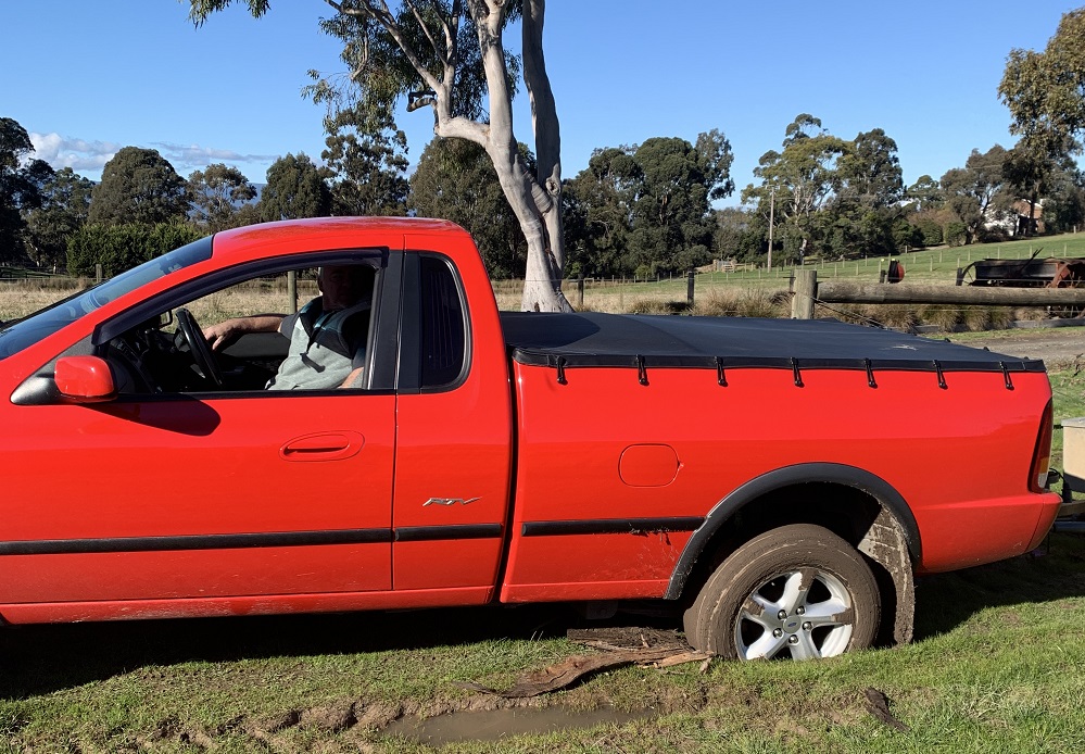 Woody Gets Bogged